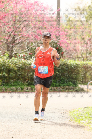 2026左岸竹東櫻花馬拉松Zhudong Sakura Marathon