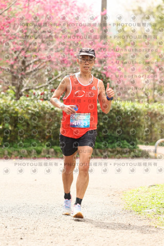 2026左岸竹東櫻花馬拉松Zhudong Sakura Marathon