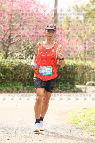 2026左岸竹東櫻花馬拉松Zhudong Sakura Marathon