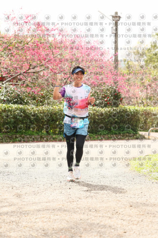 2026左岸竹東櫻花馬拉松Zhudong Sakura Marathon