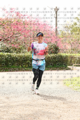 2026左岸竹東櫻花馬拉松Zhudong Sakura Marathon