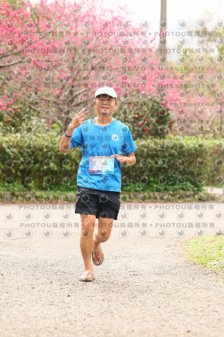 2026左岸竹東櫻花馬拉松Zhudong Sakura Marathon
