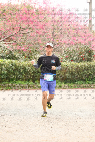 2026左岸竹東櫻花馬拉松Zhudong Sakura Marathon