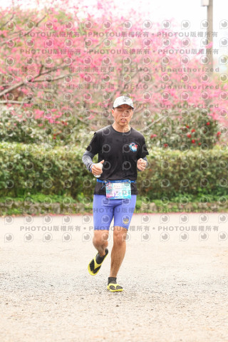 2026左岸竹東櫻花馬拉松Zhudong Sakura Marathon