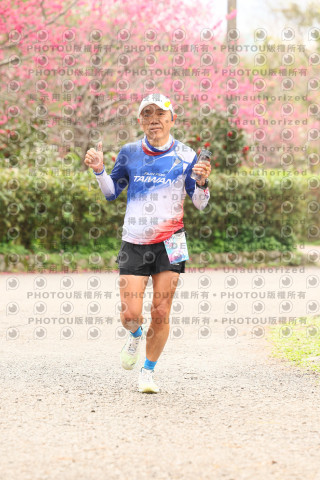 2026左岸竹東櫻花馬拉松Zhudong Sakura Marathon