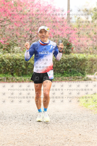 2026左岸竹東櫻花馬拉松Zhudong Sakura Marathon