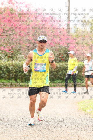 2026左岸竹東櫻花馬拉松Zhudong Sakura Marathon