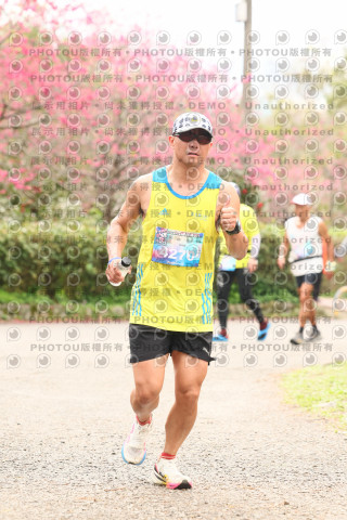 2026左岸竹東櫻花馬拉松Zhudong Sakura Marathon