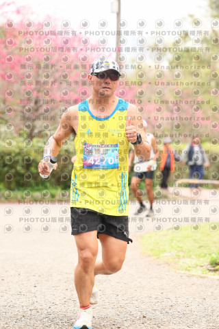 2026左岸竹東櫻花馬拉松Zhudong Sakura Marathon