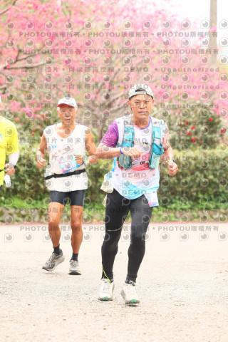 2026左岸竹東櫻花馬拉松Zhudong Sakura Marathon