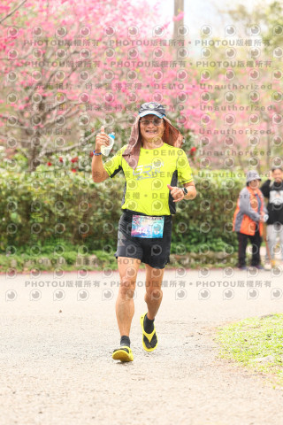 2026左岸竹東櫻花馬拉松Zhudong Sakura Marathon