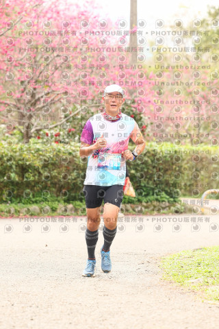 2026左岸竹東櫻花馬拉松Zhudong Sakura Marathon