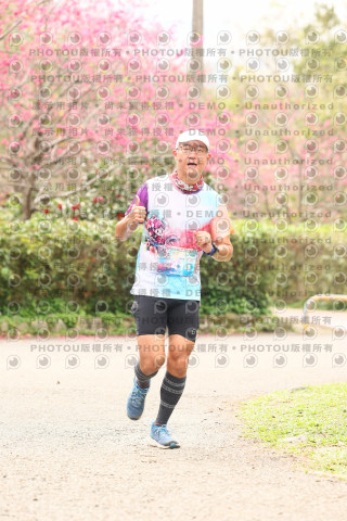 2026左岸竹東櫻花馬拉松Zhudong Sakura Marathon
