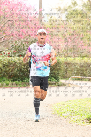 2026左岸竹東櫻花馬拉松Zhudong Sakura Marathon