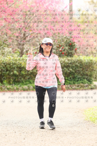 2026左岸竹東櫻花馬拉松Zhudong Sakura Marathon