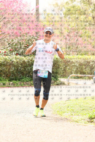 2026左岸竹東櫻花馬拉松Zhudong Sakura Marathon