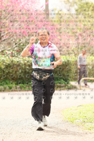 2026左岸竹東櫻花馬拉松Zhudong Sakura Marathon