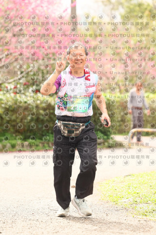 2026左岸竹東櫻花馬拉松Zhudong Sakura Marathon