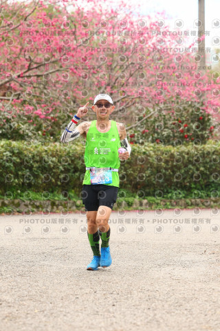 2026左岸竹東櫻花馬拉松Zhudong Sakura Marathon