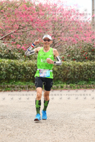 2026左岸竹東櫻花馬拉松Zhudong Sakura Marathon