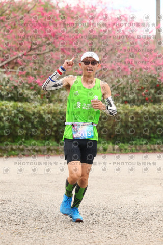 2026左岸竹東櫻花馬拉松Zhudong Sakura Marathon