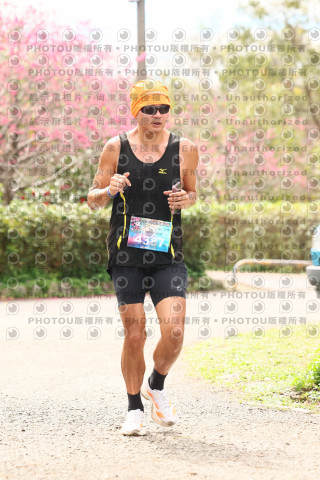 2026左岸竹東櫻花馬拉松Zhudong Sakura Marathon