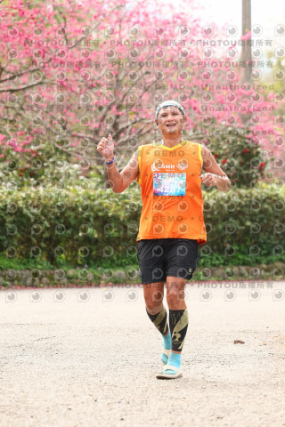 2026左岸竹東櫻花馬拉松Zhudong Sakura Marathon