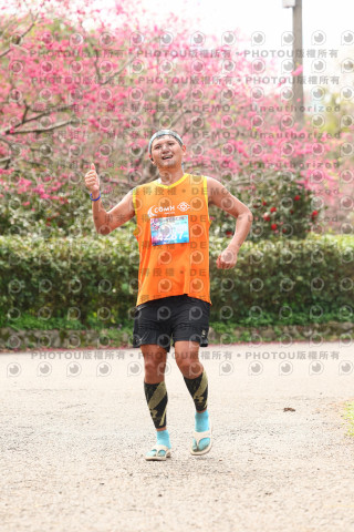 2026左岸竹東櫻花馬拉松Zhudong Sakura Marathon