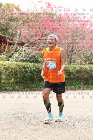 2026左岸竹東櫻花馬拉松Zhudong Sakura Marathon