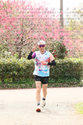 2026左岸竹東櫻花馬拉松Zhudong Sakura Marathon