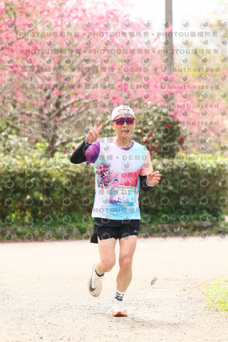 2026左岸竹東櫻花馬拉松Zhudong Sakura Marathon