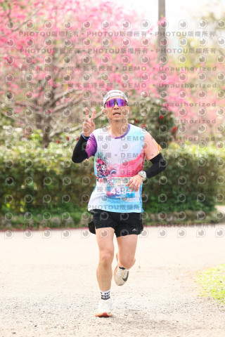 2026左岸竹東櫻花馬拉松Zhudong Sakura Marathon