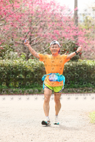 2026左岸竹東櫻花馬拉松Zhudong Sakura Marathon