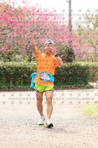 2026左岸竹東櫻花馬拉松Zhudong Sakura Marathon