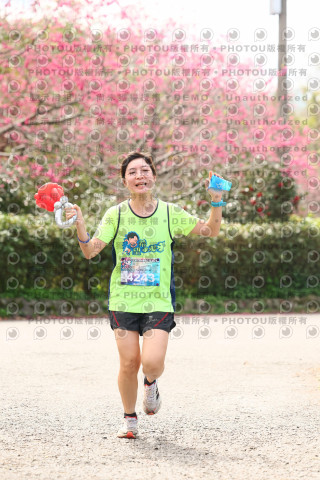 2026左岸竹東櫻花馬拉松Zhudong Sakura Marathon