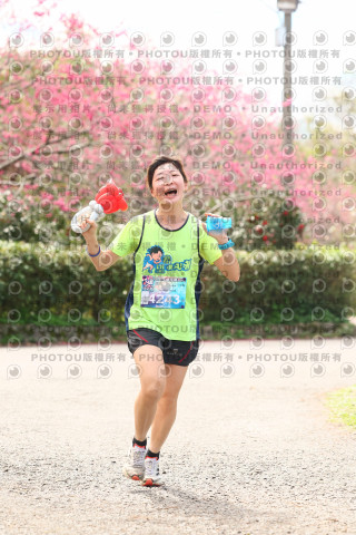 2026左岸竹東櫻花馬拉松Zhudong Sakura Marathon