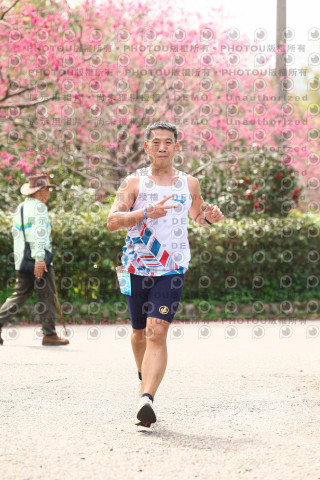 2026左岸竹東櫻花馬拉松Zhudong Sakura Marathon