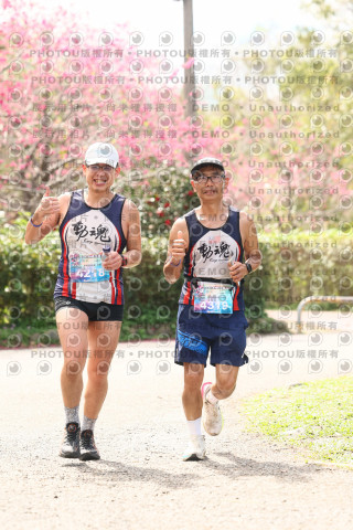 2026左岸竹東櫻花馬拉松Zhudong Sakura Marathon