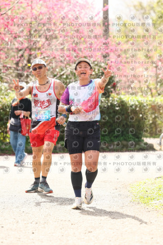 2026左岸竹東櫻花馬拉松Zhudong Sakura Marathon