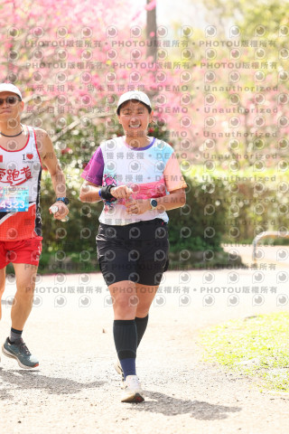 2026左岸竹東櫻花馬拉松Zhudong Sakura Marathon