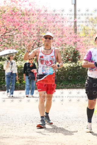 2026左岸竹東櫻花馬拉松Zhudong Sakura Marathon