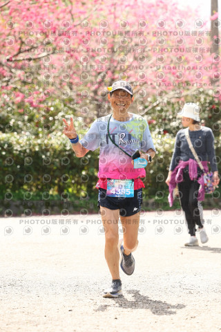 2026左岸竹東櫻花馬拉松Zhudong Sakura Marathon