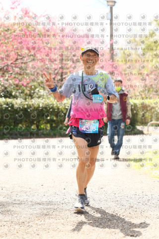 2026左岸竹東櫻花馬拉松Zhudong Sakura Marathon