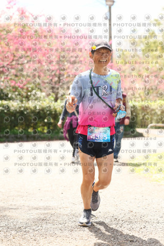 2026左岸竹東櫻花馬拉松Zhudong Sakura Marathon