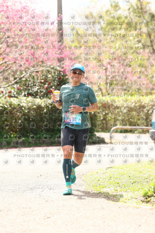 2026左岸竹東櫻花馬拉松Zhudong Sakura Marathon