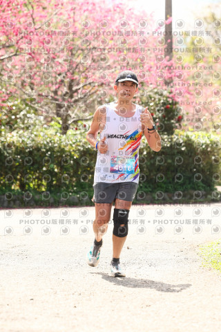 2026左岸竹東櫻花馬拉松Zhudong Sakura Marathon