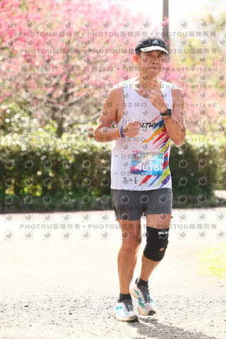 2026左岸竹東櫻花馬拉松Zhudong Sakura Marathon