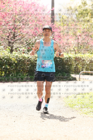 2026左岸竹東櫻花馬拉松Zhudong Sakura Marathon