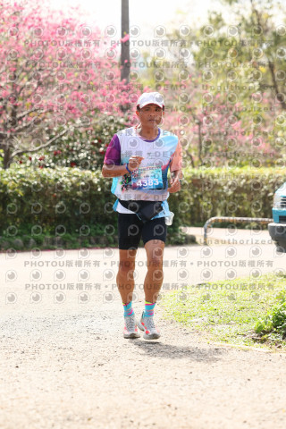 2026左岸竹東櫻花馬拉松Zhudong Sakura Marathon