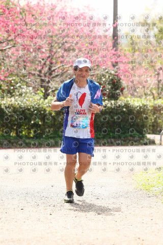 2026左岸竹東櫻花馬拉松Zhudong Sakura Marathon